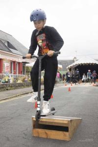 V.Brod .abeilles-2025-5199