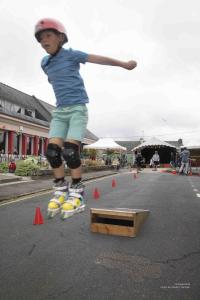 V.Brod .abeilles-2025-5205