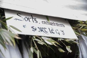 V.Brod .abeilles-2025-5211