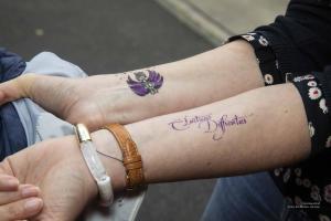 V.Brod .abeilles-2025-5215