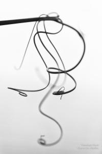 V.Brod .serrecoudray-