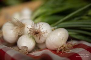 V.Brod .serrecoudray-1939