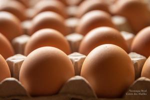 V.Brod .serrecoudray-1944