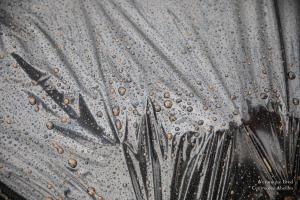 V.Brod .serrecoudray-2070