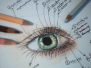 WIN 20210208 12 42 26 Pro