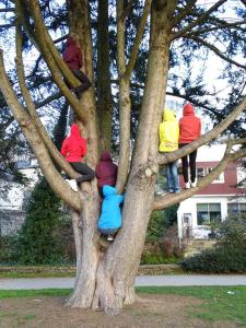 Catégorie adultesLoanne Le Goff