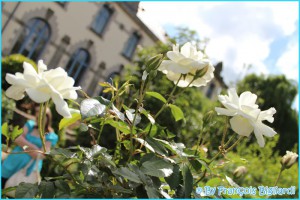 concours photos 2013           