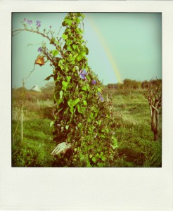 2ème chez les 15 ans et plus               