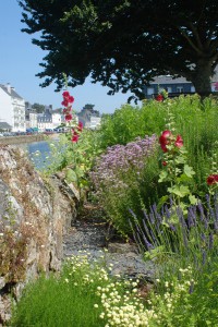 concours photos 2013             