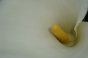 concours photos 2013             