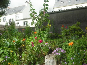 concours photos 2013                