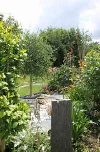 3ème chez les moins de 15 ans    