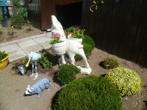 concours photos 2013  