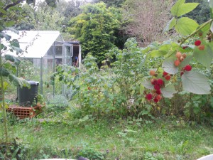 2ème chez les moins de 15 ans  