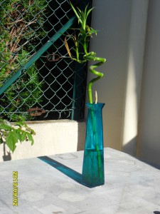 concours photos 2013