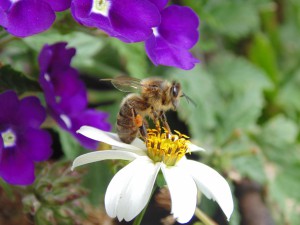 concours photos 2013