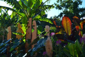 concours photos 2013