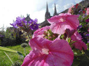 1er chez les 15 ans et plus    