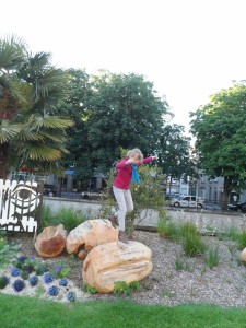 concours photos 2013