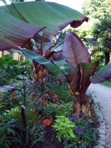 concours photos 2013 