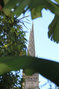 concours photos 2013  