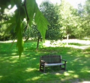 concours photos 2013