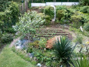 concours photos 2013