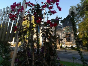 concours photos 2013                            