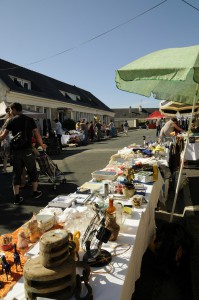 fete abeilles2014 (45)