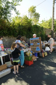 fete abeilles2014 (46)