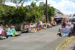 fete abeilles2014 (7)