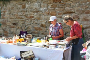 fete abeilles2014 (8)