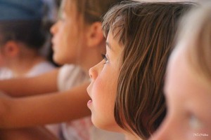 fete abeilles2014 (9)