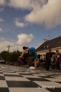 fete-abeilles2013 (17)