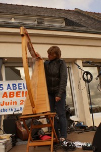 fete-abeilles2013 (30)