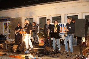 fete-abeilles2013 (67)