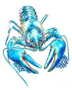 homard-bleu-encre-aquarellable (1)