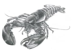homard-termine