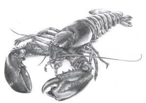 homard-termine (1)