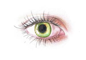 oeil-vert-08-02-21-crayons-de-couleur