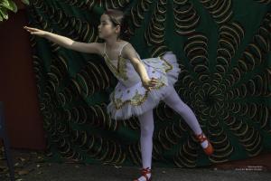 vbrod-.abeilles-06-2023-0318