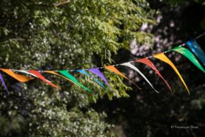 vbrod .20 09 13 avoldoiseauAbeilles-1535