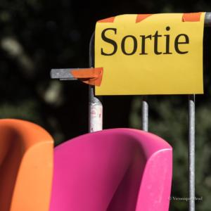 vbrod .20 09 13 avoldoiseauAbeilles-1544