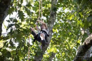 vbrod .20 09 13 avoldoiseauAbeilles-1565