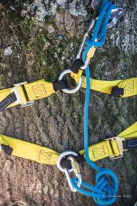 vbrod .20 09 13 avoldoiseauAbeilles-1568