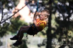 vbrod .20 09 13 avoldoiseauAbeilles-1578