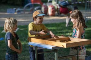 vbrod .20 09 13 avoldoiseauAbeilles-1590