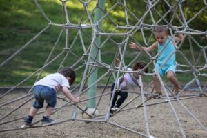 vbrod .20 09 13 avoldoiseauAbeilles-1594