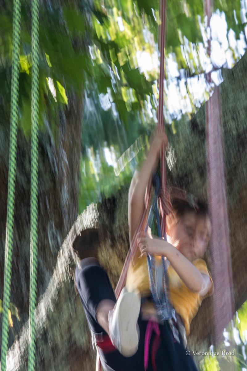 vbrod .20 09 13 avoldoiseauAbeilles-1562