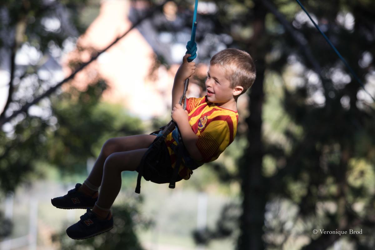 vbrod .20 09 13 avoldoiseauAbeilles-1578